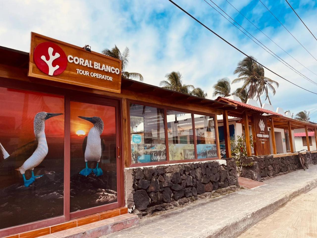 Hotel Coral Blanco With High Speed Internet Starlink And Galapagos Tour Operator Puerto Villamil Exteriör bild